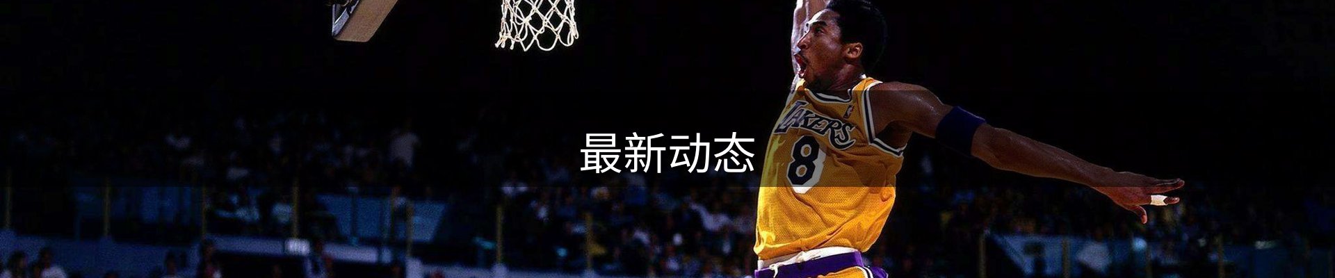 最新动态